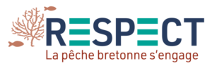 Logo RESPECT