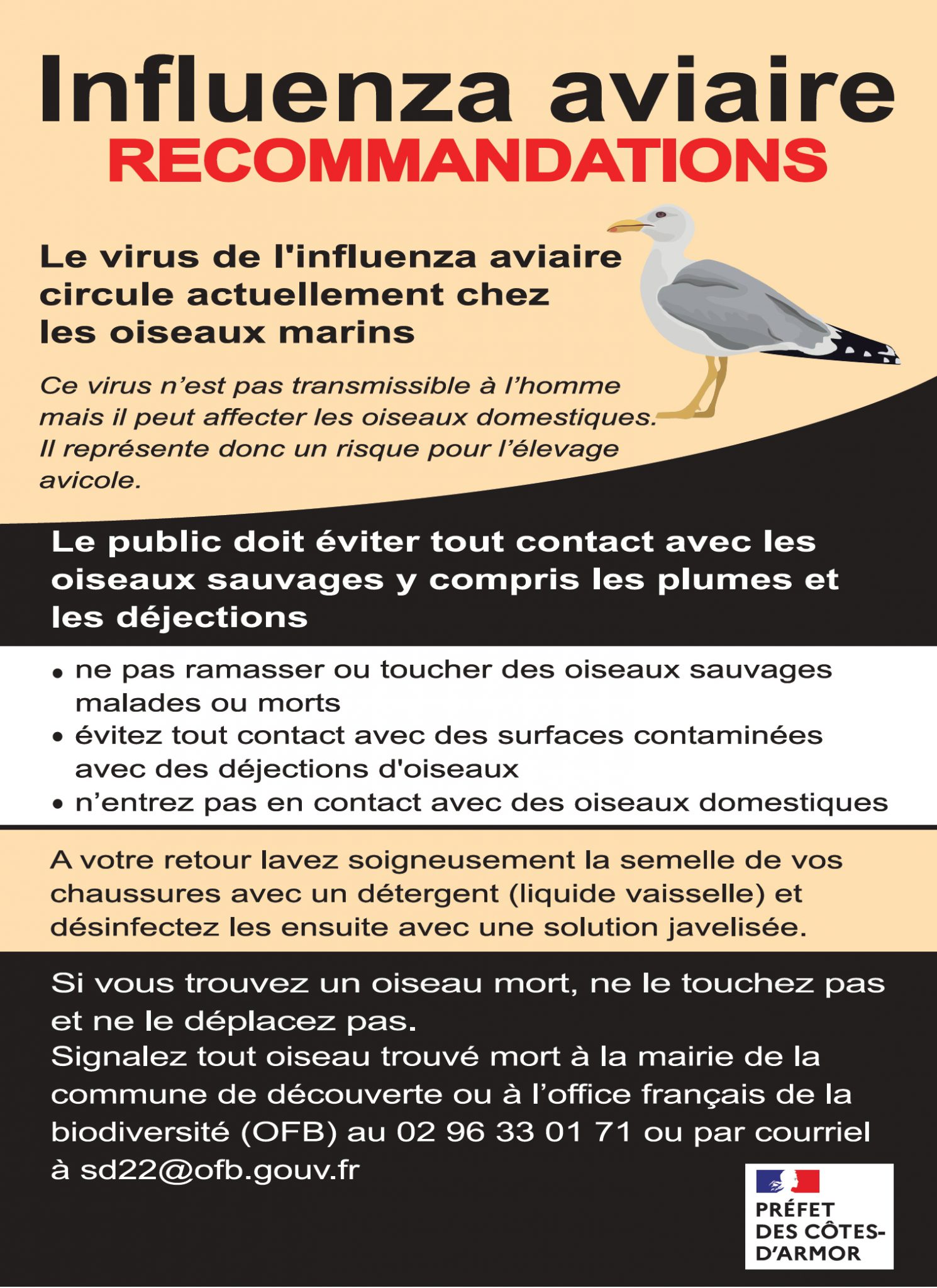 Alerte grippe aviaire Protégeons la mer