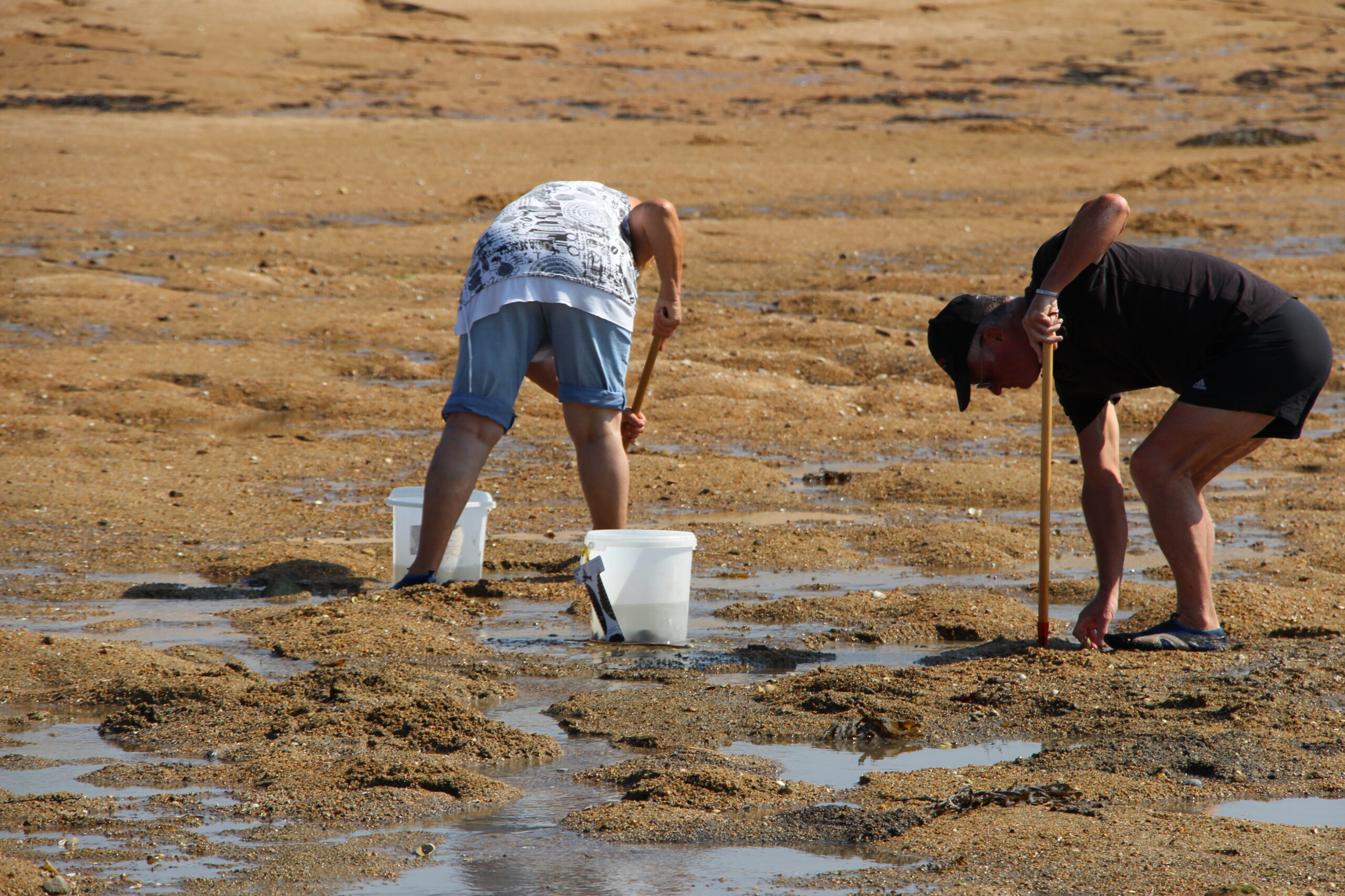 Pêche à pied