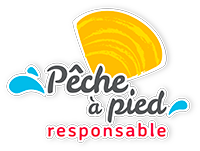 Pêche à pied responsable